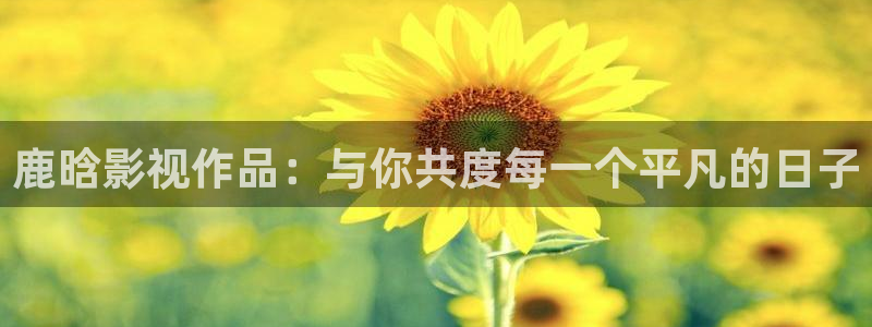 97在线综合视频