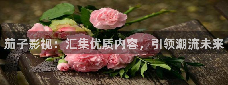 97免费精品视频观看
