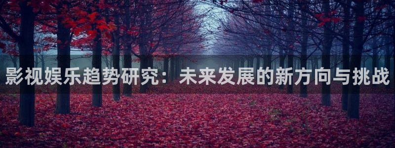 971影院在线观看