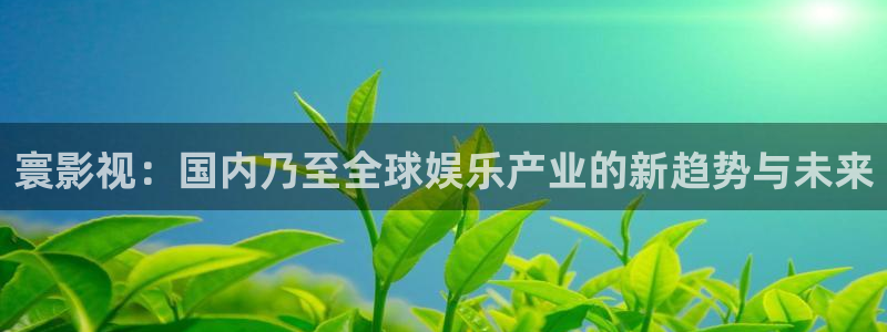 国产超碰人人爽人人做97