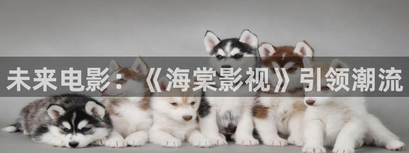 九七影院97影院理论片