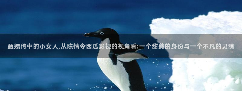97个人在线视频