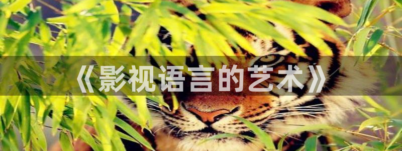 精品视频在线观看97