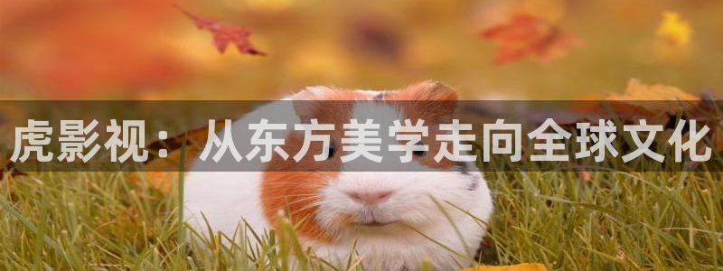 97视频在线观看最新