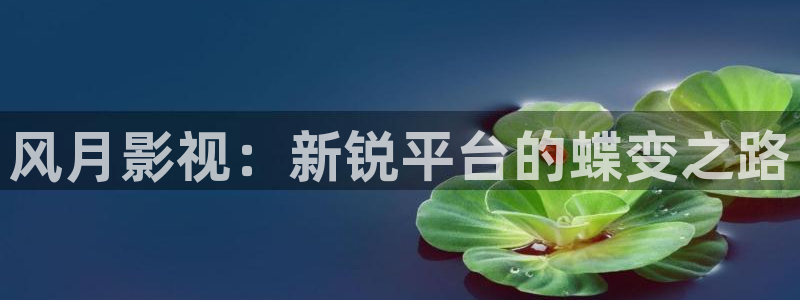 97精品成人小视频