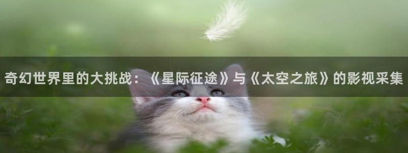 97青青草原在线视频