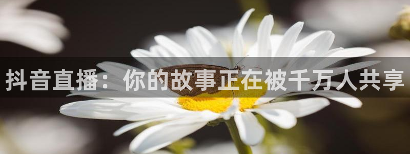 97dyy神马影院